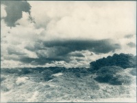 Cyanotype - Amsterdamse Waterleidingduinen